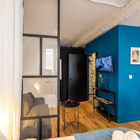 Appartamento L'indigo - Apaisant Et Lumineux, Hyper Centre Castres (Tarn)