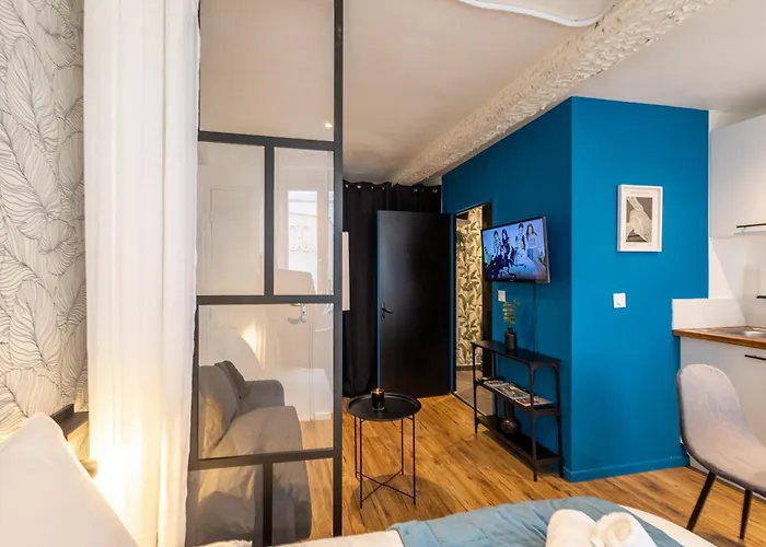 Apartamento L'indigo - Apaisant Et Lumineux, Hyper Centre Castres (Tarn)