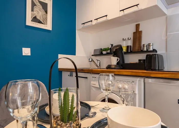 Apartamento L'indigo - Apaisant Et Lumineux, Hyper Centre Castres (Tarn)