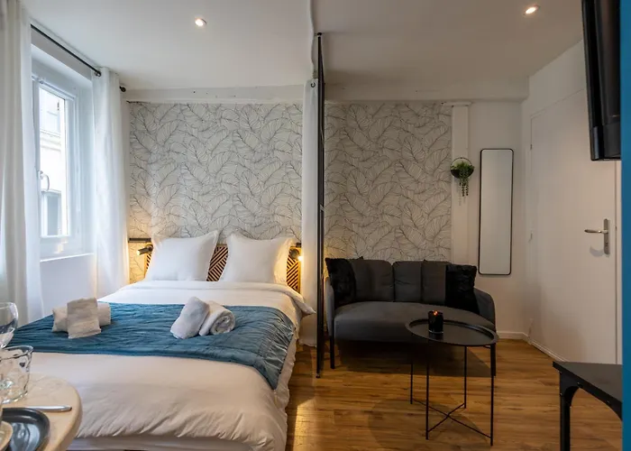 L'indigo - Apaisant Et Lumineux, Hyper Centre * Castres (Tarn)