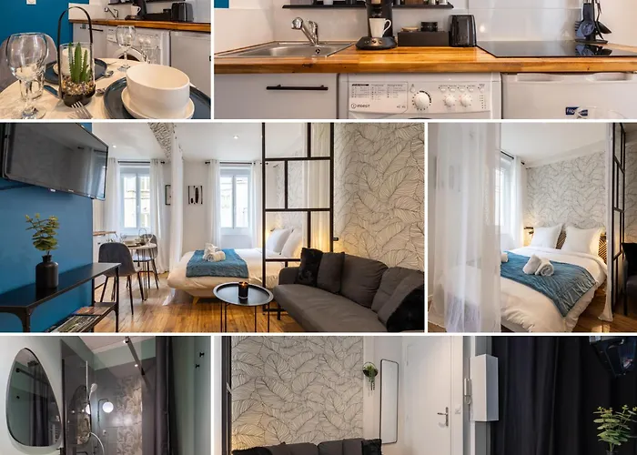 Apartamento L'indigo - Apaisant Et Lumineux, Hyper Centre Castres (Tarn)